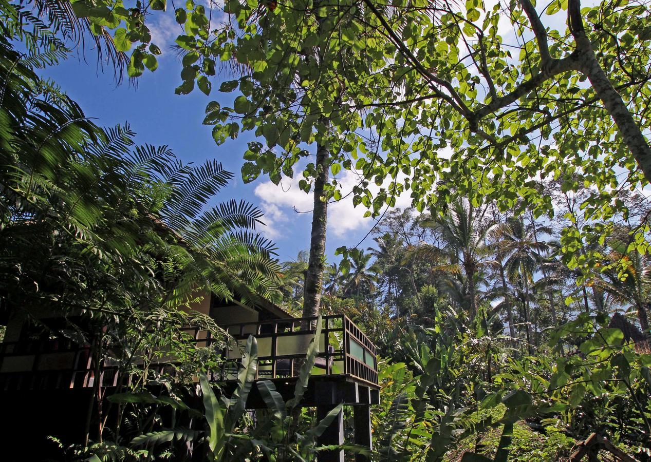 Alassari Plantation Selemadeg  Eksteriør billede